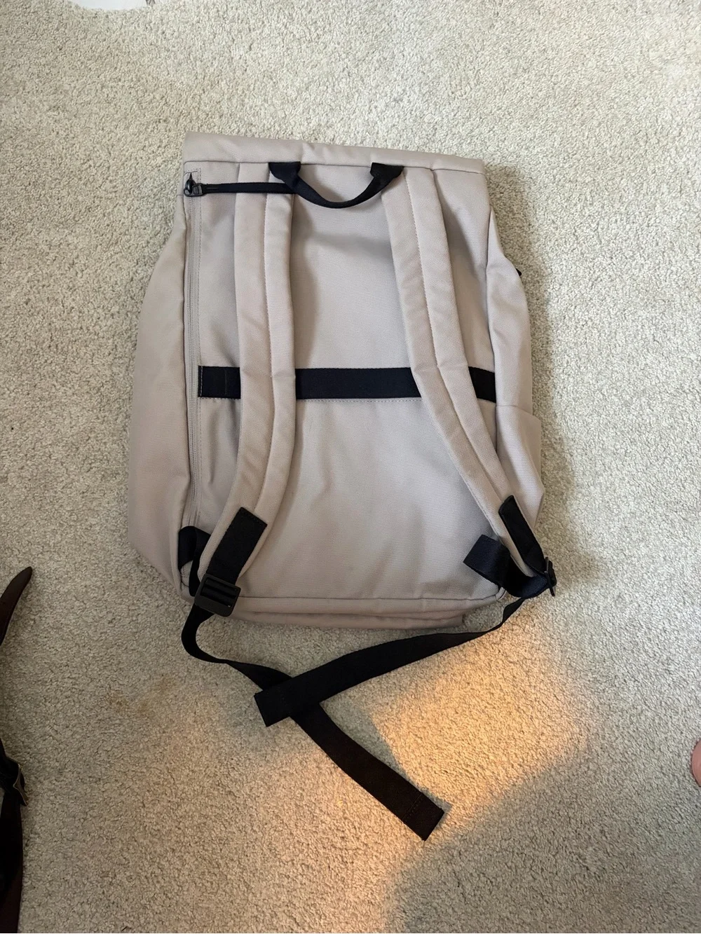 Everlane the ReNew Transit Gray Canvas Backpack